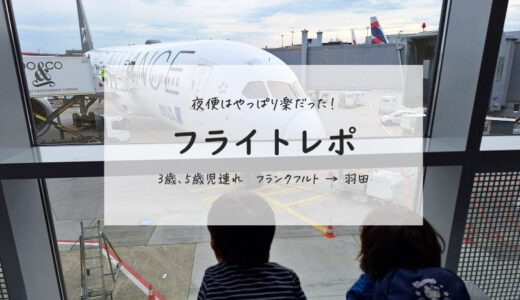 【夜便は超楽だった！】3歳5歳の子連れフライトレポ（フランクフルト→羽田）