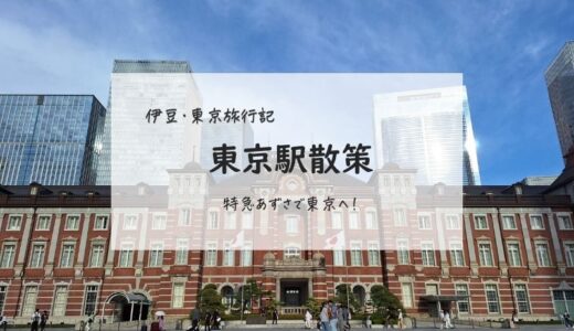 【伊豆・東京旅行：①】あずさで松本から東京へ｜初めての東京駅散策