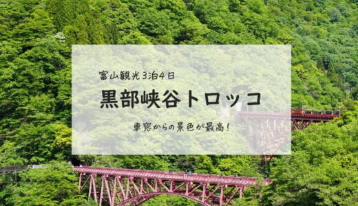 【富山旅行3泊4日：②】黒部峡谷でトロッコからの絶景を楽しむ
