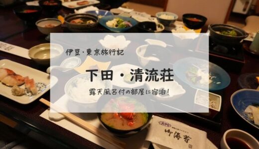 【伊豆・東京旅行：③】下田の旅館「蓮台寺温泉 清流荘」で露天風呂付の部屋に宿泊